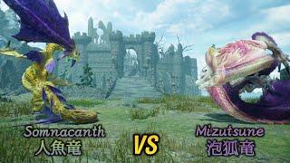 Mizutsune VS Somnacanth タマミツネ VS イソネミクニ  Turf War Deathmatch  縄張り戦争 Monster Hunter Rise Sunbreak