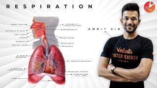 Human Respiratory System (ANIMATED) Class 10th | Life Processes Class 10 Science Biology | CBSE 2024