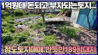 돈되고 부자되는 청도대지189평 양쪽도로접 반듯한 토지 311