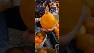 SATISFYING PERSIMMON CUTTING.