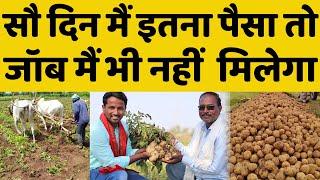 आलू की खेती कब और कैसे करेंPotato Farming Profit | आलू खेती का खर्चा, मुनाफा, खाद, बीज और रोग