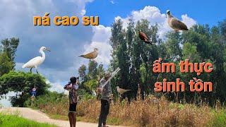 thực chiến sinh tồn bằng ná cao su cùng hữu trí quá no bụng