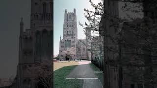 When England was Catholic - Ely Cathedral #short