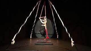 InesS Circus Performances from 2024