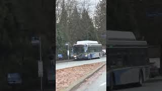 P3353 operates line 160 #publictransportation #translink