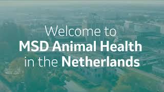 Welcome to MSD Animal Health in the Netherlands