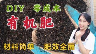 【种植36】 自制有机肥/堆肥，这4种常用厨余是绝配，不花钱变废为宝，简单高效，肥效全 | 咖啡渣，香蕉皮，鸡蛋壳，虾壳 DIY organic fertiliser, easy n rich