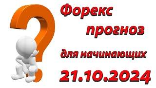 Форекс прогноз для начинающих: путь к профессиональному трейдингу