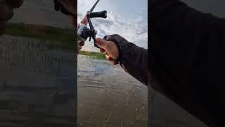 fishing =2.5kg