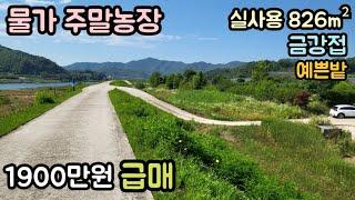 (매물번호14088) 1900만원 옥천부동산 414㎡(125) 옥천땅 옥천토지매매매물 시골땅 촌땅 소액 주말농장 급매 물가땅 물가토지 대전토지 청주땅 대전땅 보은토지 보은부동산