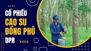 DPR: CHỜ ĐỢI BƯỚC CHUYỂN MÌNH TỪ MẢNG KHU CÔNG NGHIỆP | Phân tích cổ phiếu | Momentum Stock