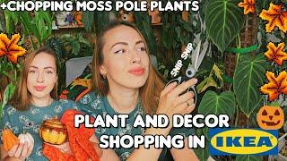 Plant and fall decor shopping in IKEA + chopping my moss pole plants ️