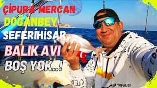 Çipuralar Arka Arkaya Geldi. Doğanbey Seferihisar Tekne de Olta ile Balık Avı #mercanavı #fishing