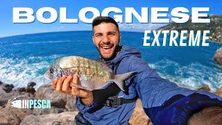 BOLOGNESE EXTREME • BIG SARAGO nella schiuma con mare mosso da scogliera innesco gambero mazzancolla