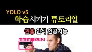 YOLO v5 커스텀 학습 튜토리얼