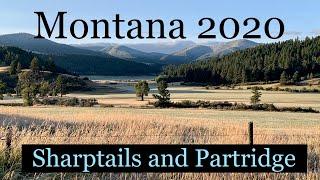 Montana 2020 Sharpies & Huns! part 1