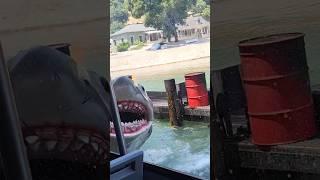 Shark attack on the universal studios tour  #universalstudios #themepark #universalstudio