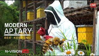 BEEKEEPING- MODERN APIARY 2024