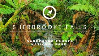 Stunning Sherbrooke Falls in the Dandenong Ranges National Park [4K]