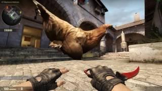 DEV TAVUK ORDUSUYLA EKİBİ TROLLEDİM!! CS:GO TAVUK vs İNSAN