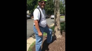 MULCH VOLCANO A QUICK LOOK AT CAUSE AND EFFECT ISA CERTIFIED ARBORIST ADAM WINGO