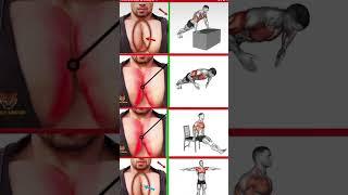 chest Buildup Workout #chest#chestworkout#shortsviral#shortvideo #fitness #phonk #workout #gym