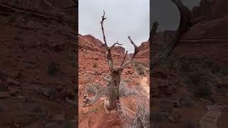 Park Avenue Trail at Arches National Park in Utah