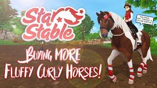 Buying MORE fluffy Curly horses! | Star Stable Updates