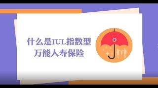 什么是IUL指数型万能人寿保险？经常也被人们称为指数型保险或指数型人寿保险