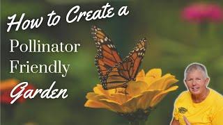 How to Create a Pollinator Friendly Garden | Planting for Pollinators