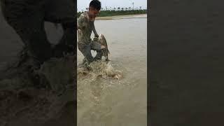 Survival Fishing Skills | Catch Catfish by Unique Fishing | RTRE342543