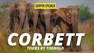 Corbett Tours by Toehold | Photography Tours to Corbett