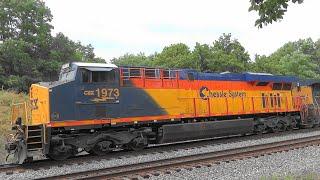  #1973 Chessie System Heritage Unit Leading Autorack Train