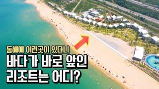 동해 바다가 눈앞에 펼쳐지는 숙소는 어디? 동해 여행 국내 여행지 추천