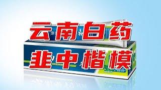 炒股巨虧15億，百年藥企云南白藥為啥不務正業？