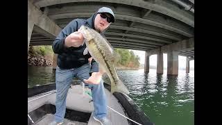 Lake Chatuge Bass Fishing! STUD Spots!