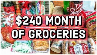 FEEDING A FAMILY OF 3 ON A BUDGET | Month of Groceries