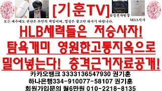 [주식투자]HLB(세력들은 저승사자!탐욕개미 영원한고통지옥으로 밀어넣는다! 충격근거자료공개!)