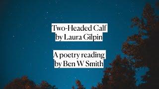 Two-Headed Calf by Laura Gilpin - British accent, read by Ben W Smith