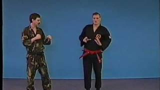 GARY ALEXANDER SHIHAN HAND 2 HAND COMBAT SYSTEMS DEMO.mpg