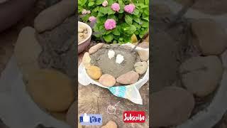 Clay stone Pot|plant pot|#shortsfeed #plants #flowergarden #garden #claypot #shorts #diy #nature...