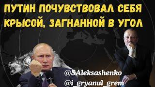 Путин почувствовал себя крысой, загнанной в угол @i_gryanul_grem