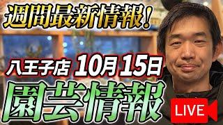 【最新情報】10月15日 グリーンギャラリーガーデンズ入荷情報を一挙公開！【特別版】