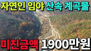 산속 계곡물철철~자연인 임야매매~몽땅1900만원 미친가격 전기인입가능~묘터 또는임산물채취 투자용~ 경북 의성 임야매매 -세상사는 부동산-