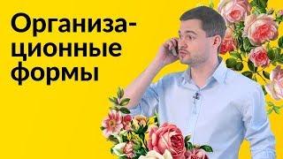 ООО, ИП или что-нибудь другое? (Правильный выбор организационно-правовой формы)