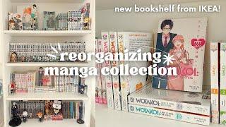 reorganizing my manga collection ૮ ˶ᵔ ᵕ ᵔ˶ ა : manga haul + new shelf from ikea!