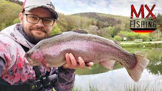 Ein Tag am Premiumteich/ Harter Start, super Ende/ Forellen fischen mit Kunstködern/ Trout Area