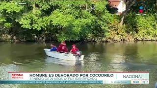 Joven fue devorado por un cocodrilo en Tabasco | Noticias con Crystal Mendivil