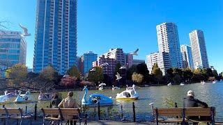 [4K] Tokyo Walk - Ueno Park to Yanaka