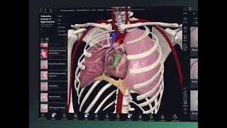 Getting Started with Complete Anatomy